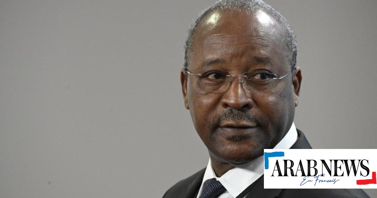 Niger: Le chef de la diplomatie du président renversé parle de «pogroms» à Niamey