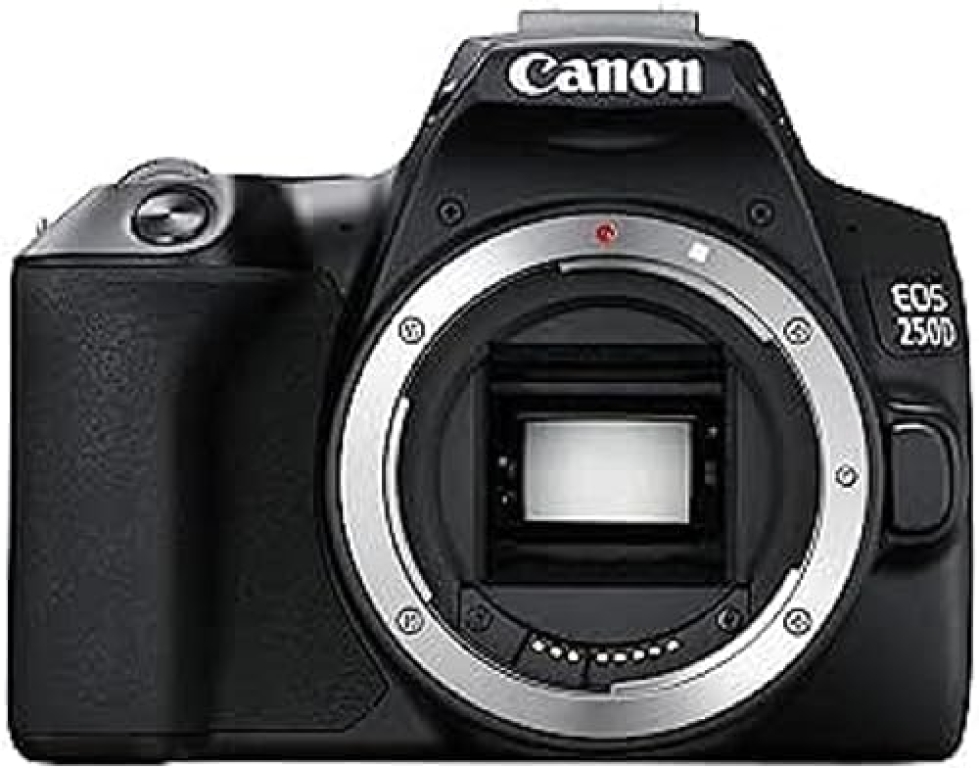 Les meilleurs appareils photo Canon EOS 250D : guide d’achat complet