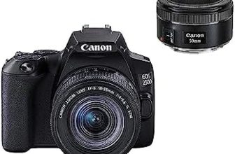 Les meilleures options pour l’appareil photo Canon EOS 250D