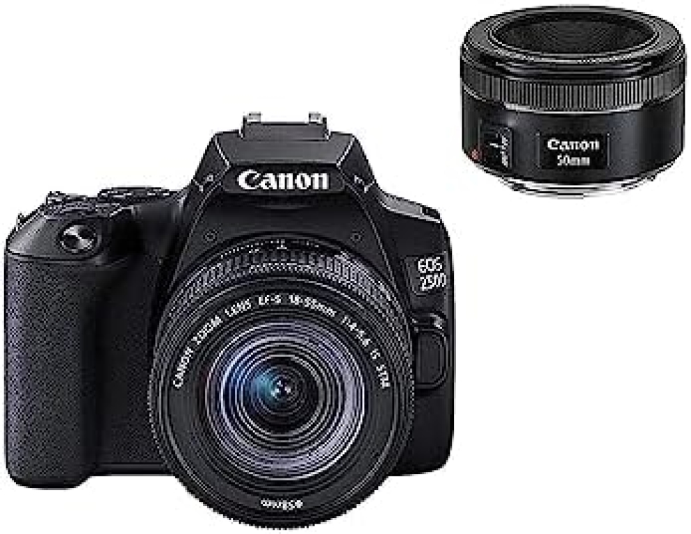 Les meilleures options de l’appareil photo Canon EOS 850D