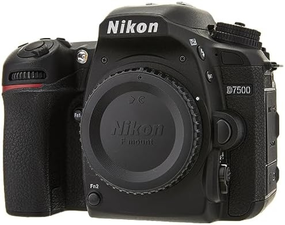 Le meilleur guide sur le Nikon D780 pour les amateurs de photographie