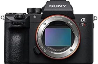 Comparatif des produits Sony α7 IV : Quel choix pour la photographie ultime ?