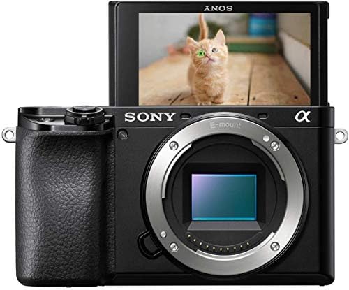 Les meilleures options pour le Sony Alpha 6400: un guide détaillé