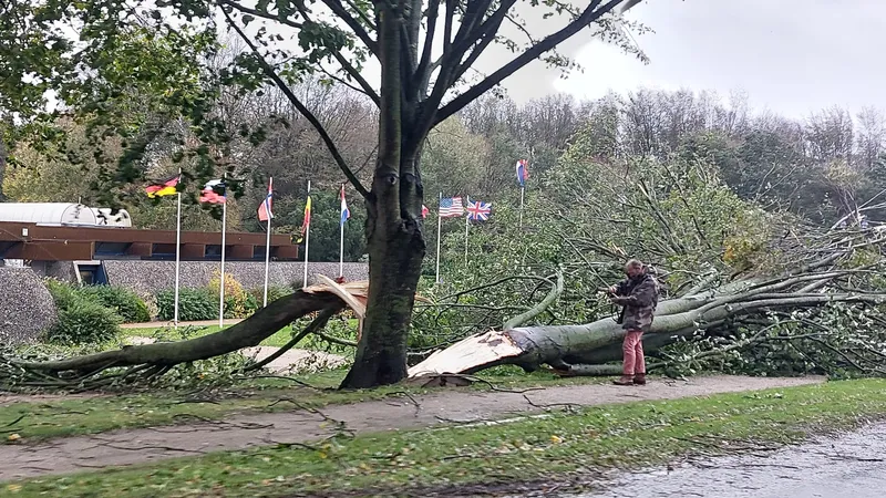 Dégâts à Bayeux (Calvados) le jeudi 2 novembre 2023.
