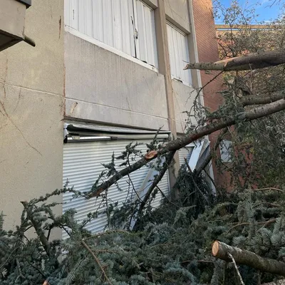 La tempête Ciarán a provoqué la chute d'un arbre sur un immeuble du quartier de La Madeleine à Évreux (Eure).