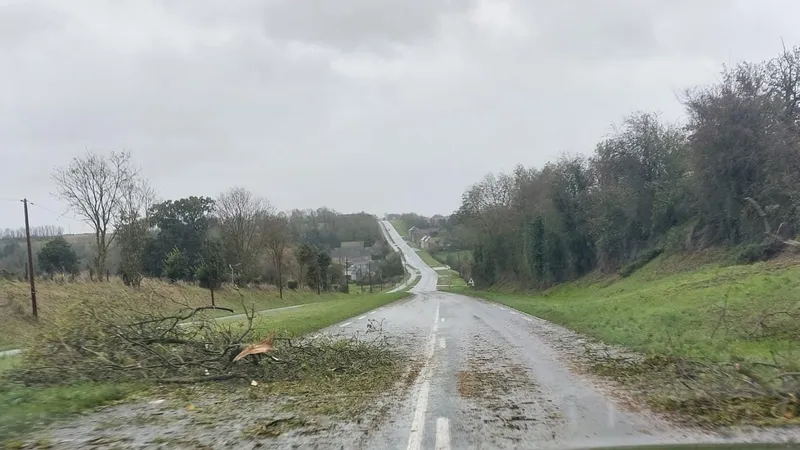 Des branches sont tombées sur la RN13 entre Bayeux et Caen, dans le Calvados, jeudi 2 novembre 2023.