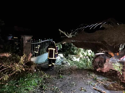 Un arbre s'est abattu sur une maison en Seine-Maritime.