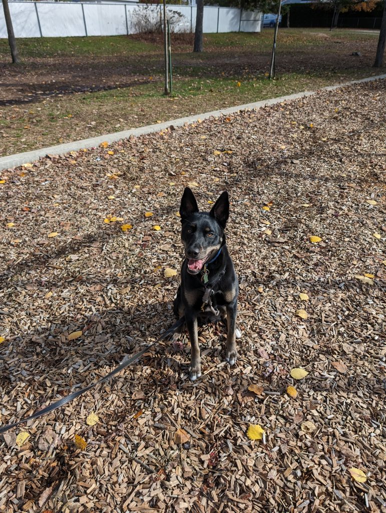 PXL_20231028_164401592 | Geeks and Com'