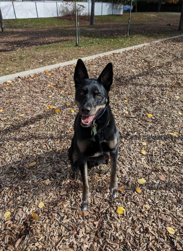 PXL_20231028_1644028545 | Geeks and Com'