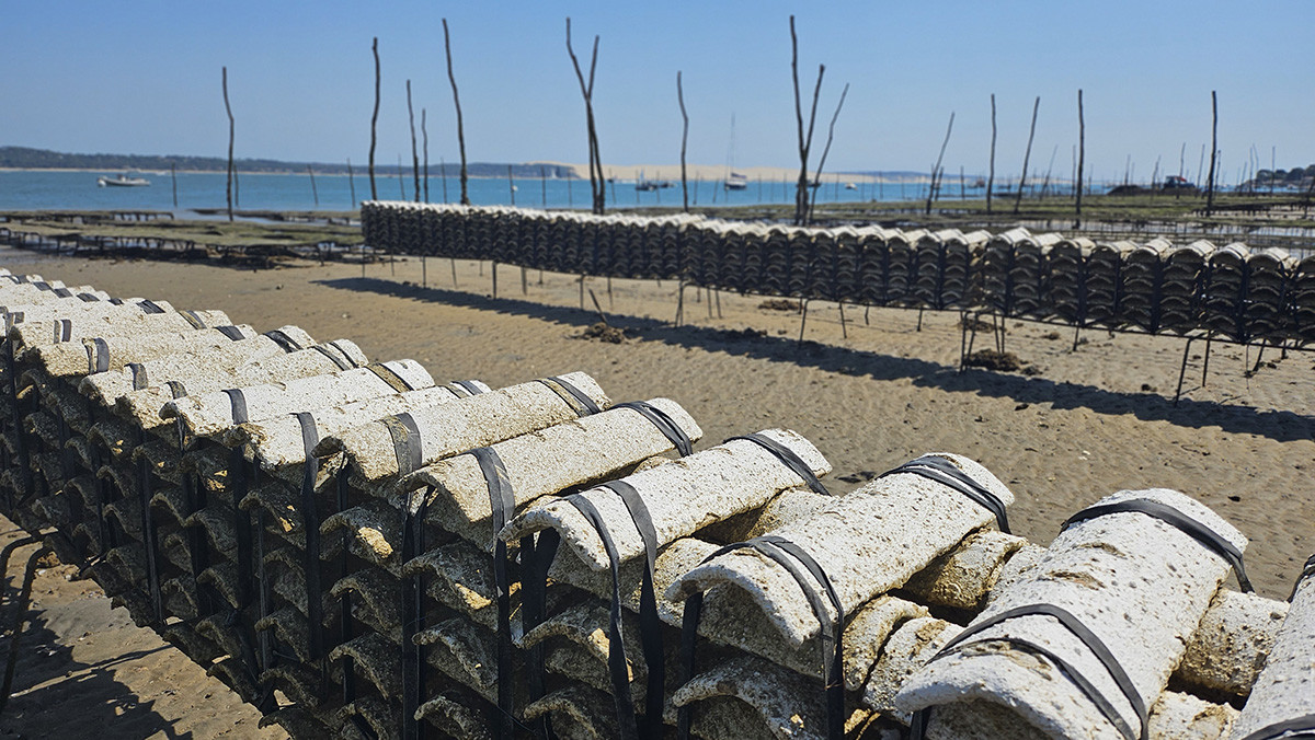 Photo de paysage mode portrait