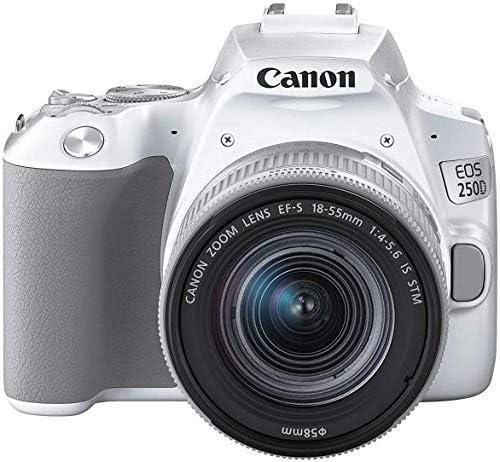 Les meilleurs appareils photo Canon EOS 250D : comparaison et critique