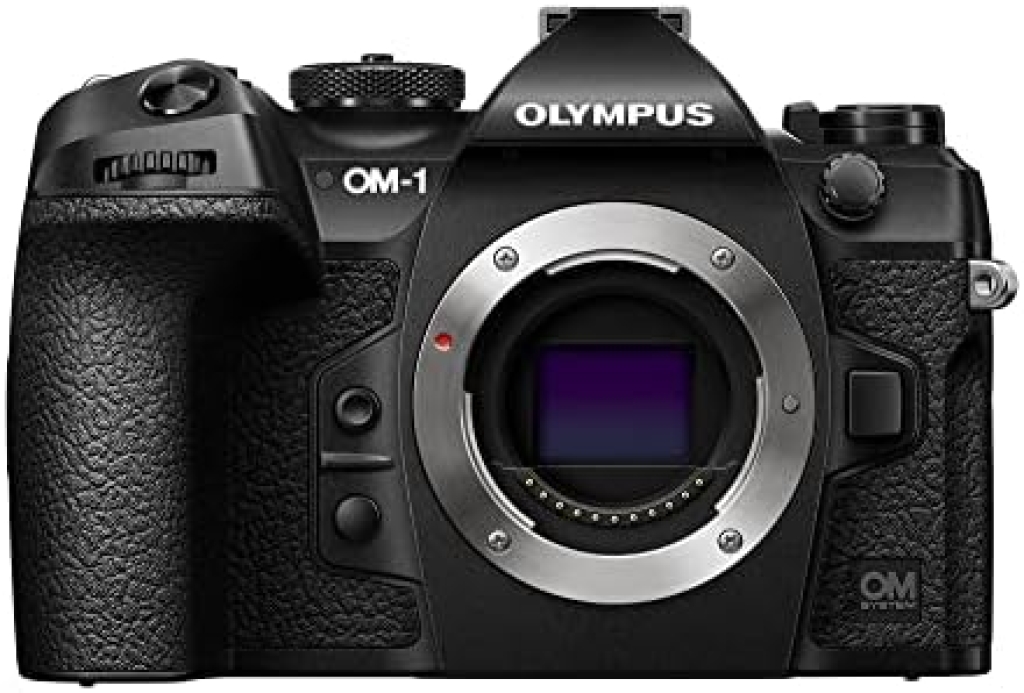 Comparatif des meilleurs appareils photo Olympus OM-D E-M10 Mark II