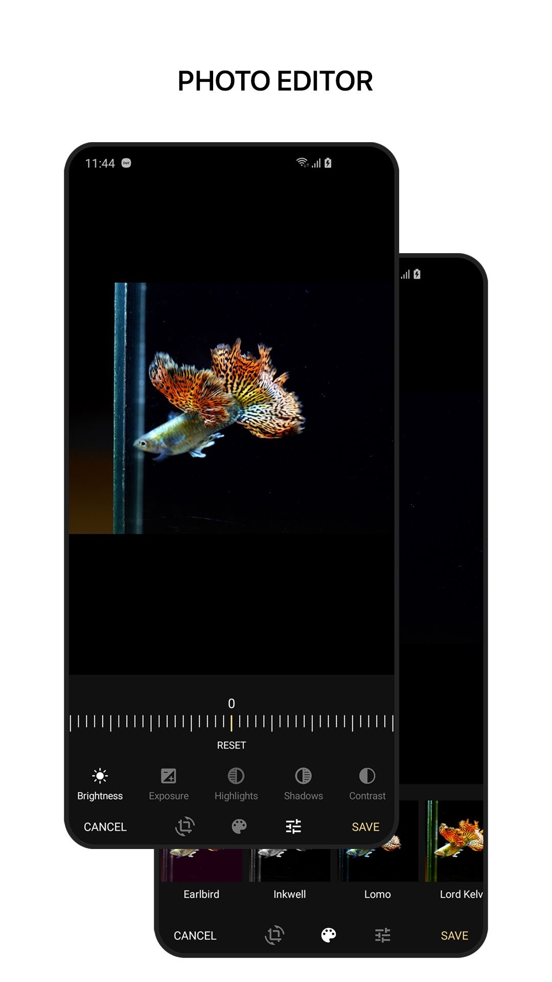 image of fish on black background in stylized phone