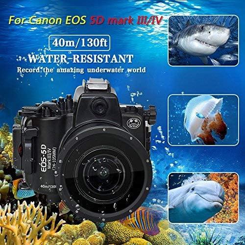 Les ‌meilleurs appareils photo ⁣Canon‌ EOS 5D Mark IV à considérer