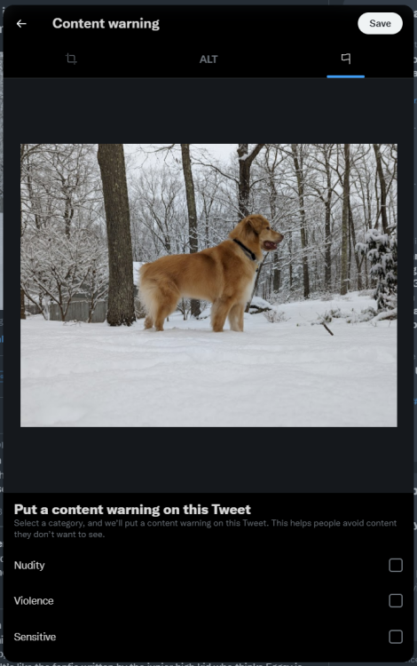A screenshot of Twitter's content warning interface. An image of a dog standing in the snow fills the bulk of the screenshot. Below it is text that reads: 