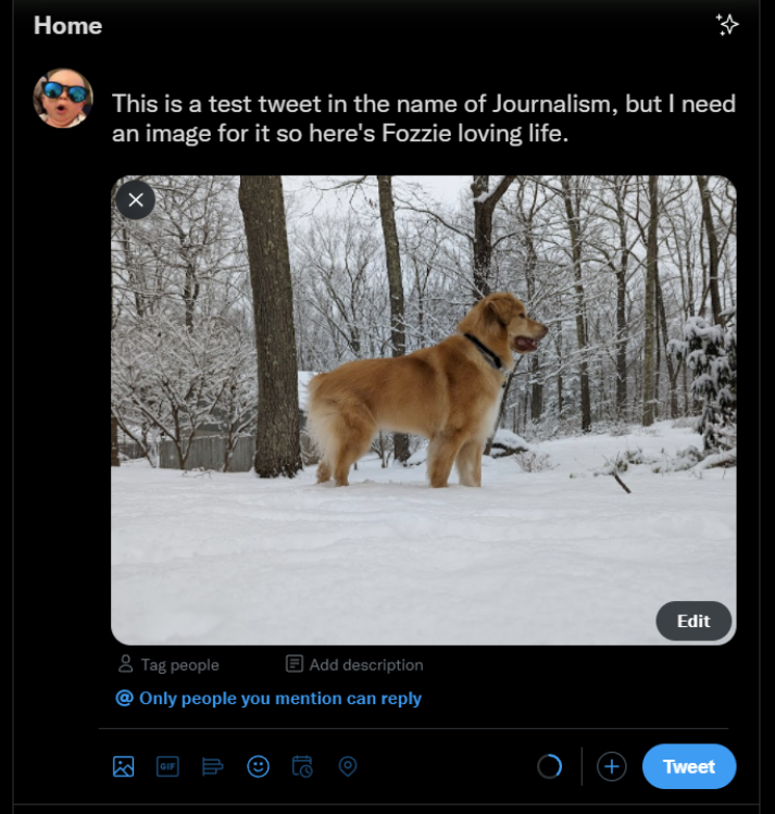 A screenshot of a post being created inside Twitter's browser interface. The text reads 