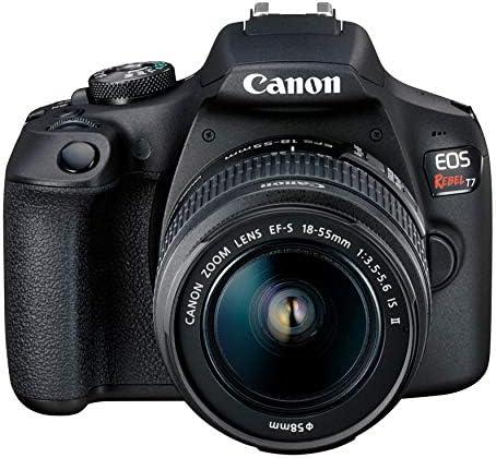 Best Canon EOS 250D Camera Options Reviewed