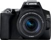 Review: Canon EOS 250D Rebel SL3 DSLR Camera with STM Lens