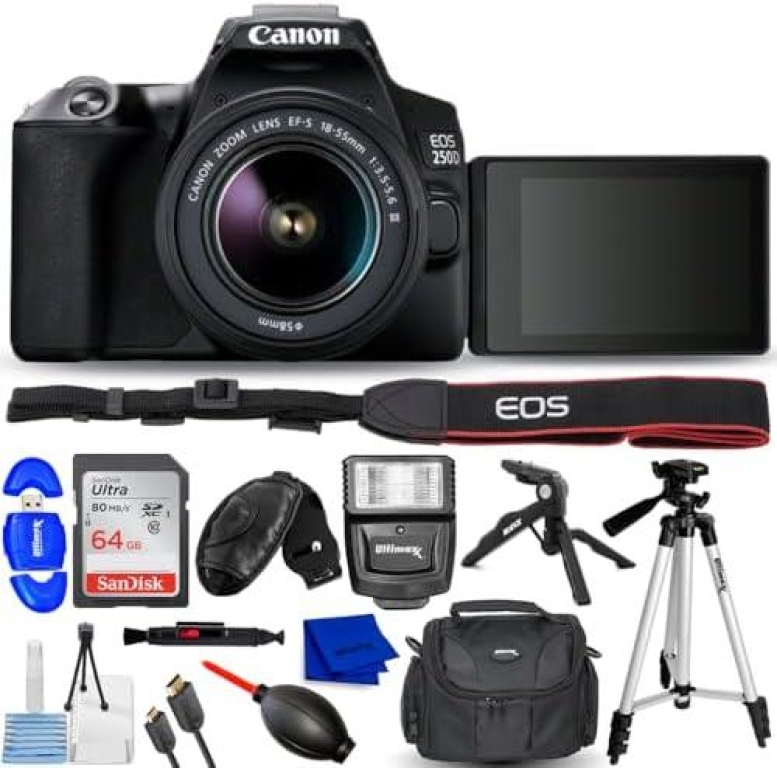 Top 5 Canon EOS 250D Camera Options: A Comparison Guide