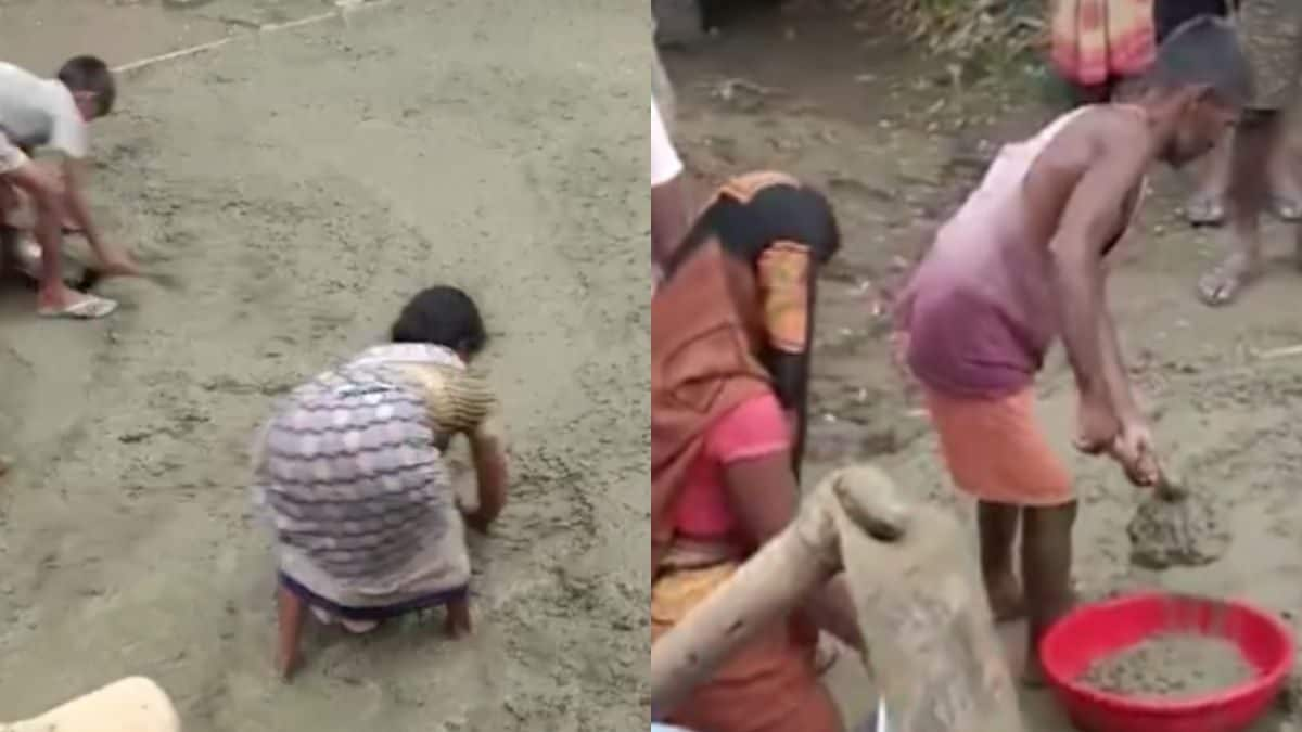 Bihar Villagers Steal Road? Viral Video Shows People Taking Home Cement, Construction Materials