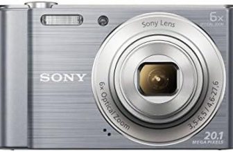 Quick Capture & Stunning Details: Sony DSC-W810 Review