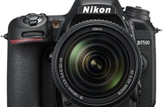 Top 5 Nikon D3400 Cameras: A Comprehensive Roundup