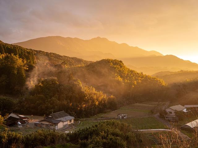 Utilizing Natural Light: Techniques for Capturing Stunning Images