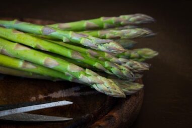 Mastering Macro Photography: Tips for Stunning Close-ups