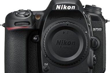 Exploring the Nikon D7500: A Digital SLR Review