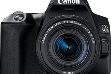 Review: Canon EOS 250D DSLR Camera with 18-55mm STM Lens