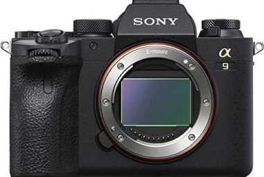 Best Sony Alpha A9 Camera Options for Professionals