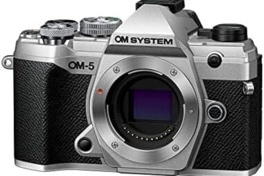 Top 5 Olympus OM-D E-M10 Mark II Cameras: A Comprehensive Roundup