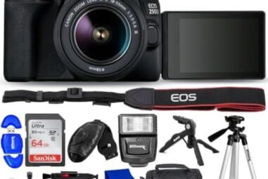 Top 5 Canon EOS 250D Camera Options: A Comparison Guide