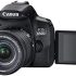 Nikon D3500 DSLR Kit: Our Honest Review