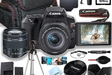 The Best Canon EOS 250D Cameras for Your Photography Needs