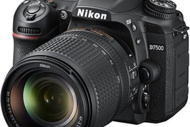 Top Nikon D780 Camera Picks for Photographers