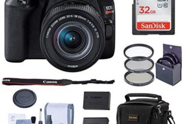 The Best Canon EOS 250D Cameras Reviewed