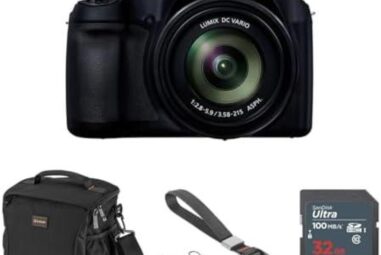 Top Picks: Panasonic Lumix ZS100/TZ100 Camera Options