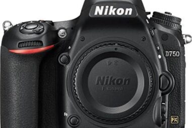 Top Nikon D780 Camera Roundup: Compare and Choose the Best Model