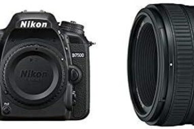 Comparatif des Meilleurs Nikon D7500 en 2021