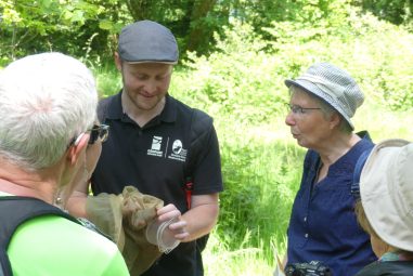 Le Parc Normandie-Maine recrute des observateurs de la biodiversité