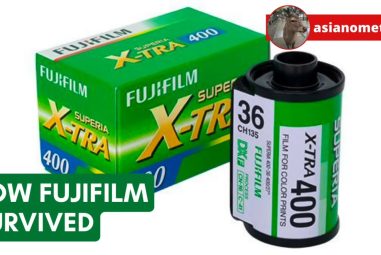 pourquoi Fujifilm a survécu (et pas Kodak)