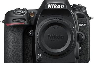 Les meilleurs appareils photo Nikon D780 pour capturer des moments incroyables.