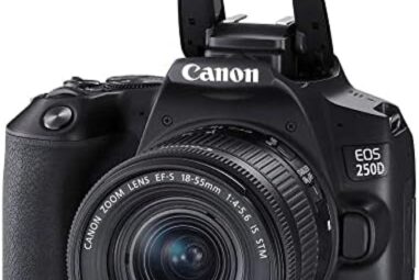 Comparatif des meilleurs appareils photo: Canon EOS 250D