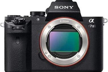 Comparatif des meilleurs appareils Sony α7 IV pour la photographie professionnelle