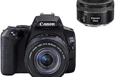 Les meilleures options pour l’appareil photo Canon EOS 250D