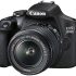 Top 5 Appareils photo Nikon D780 pour des résultats exceptionnels