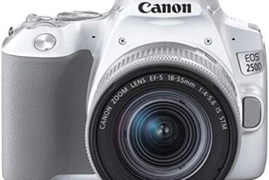 Meilleures options de Canon EOS 250D : Comparatif des produits