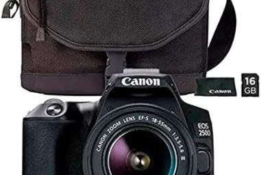 Les meilleures options de l’appareil photo Canon EOS 250D