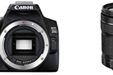 Les meilleurs appareils photo Canon EOS 250D pour vos besoins photographiques